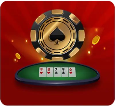 321 bet