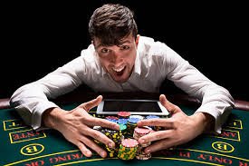 321 bet